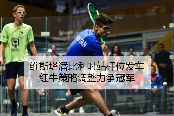 维斯塔潘比利时站杆位发车 红牛策略调整力争冠军